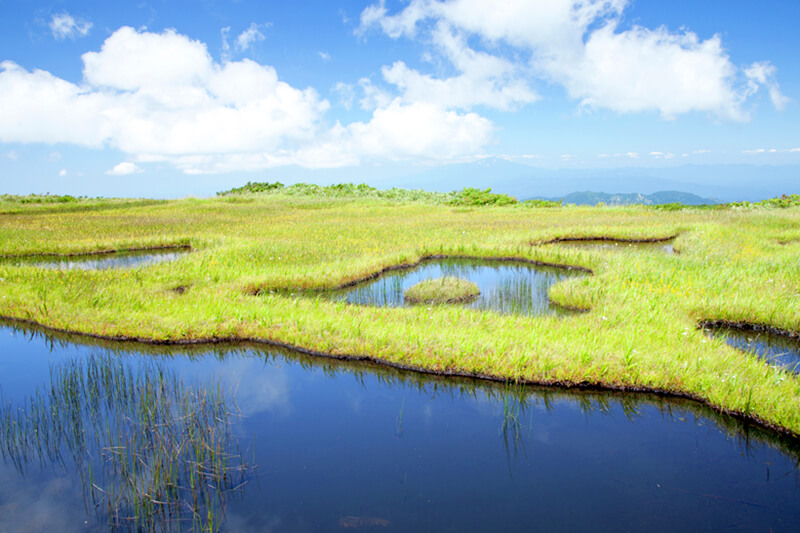 月山弥陀ヶ原