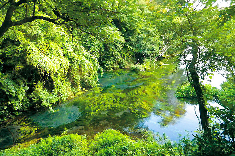 柿田川