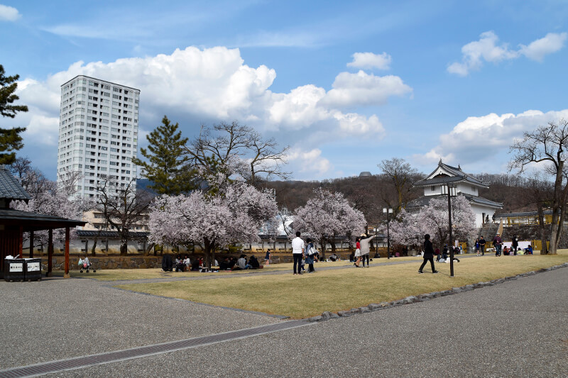 甲府城