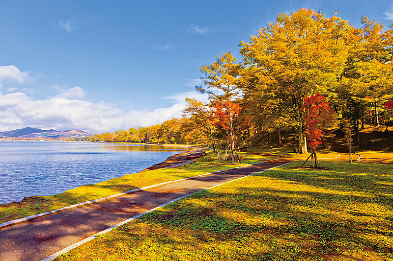 山中湖畔の紅葉