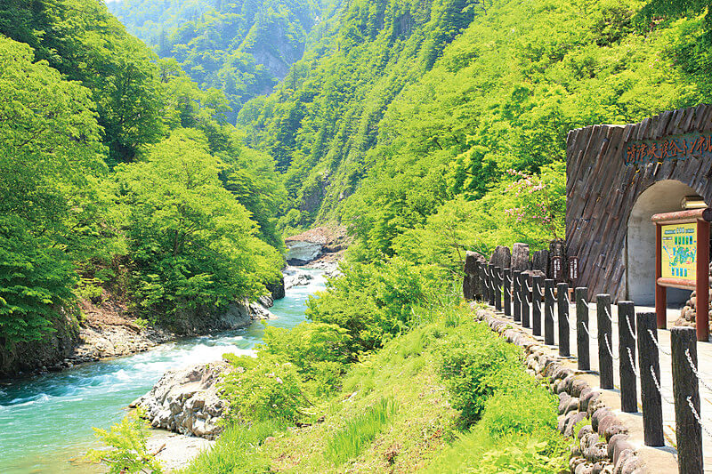 清津峡渓谷 夏