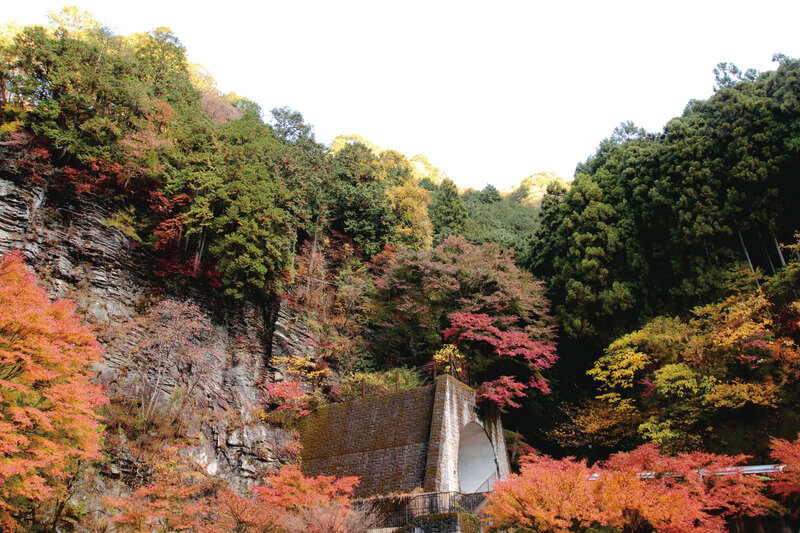 蓬莱山 佐野