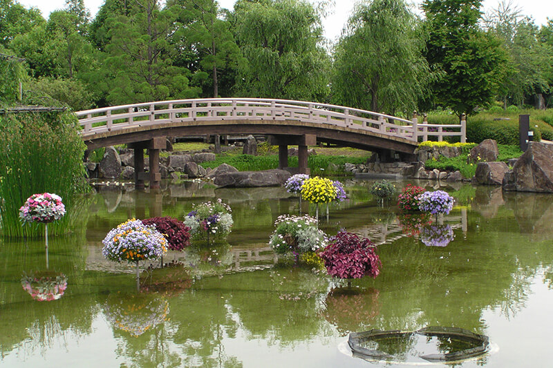 水生植物園みずの森