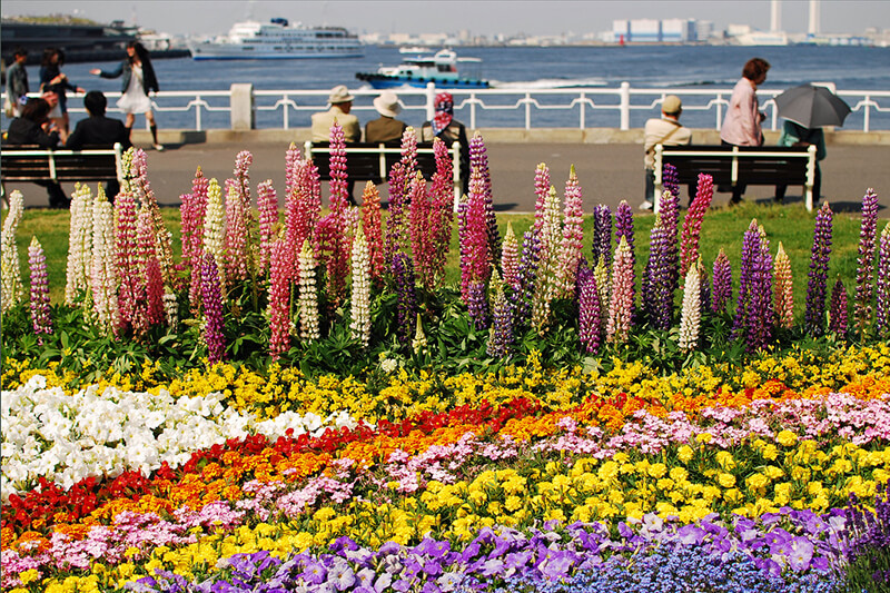 山下公園