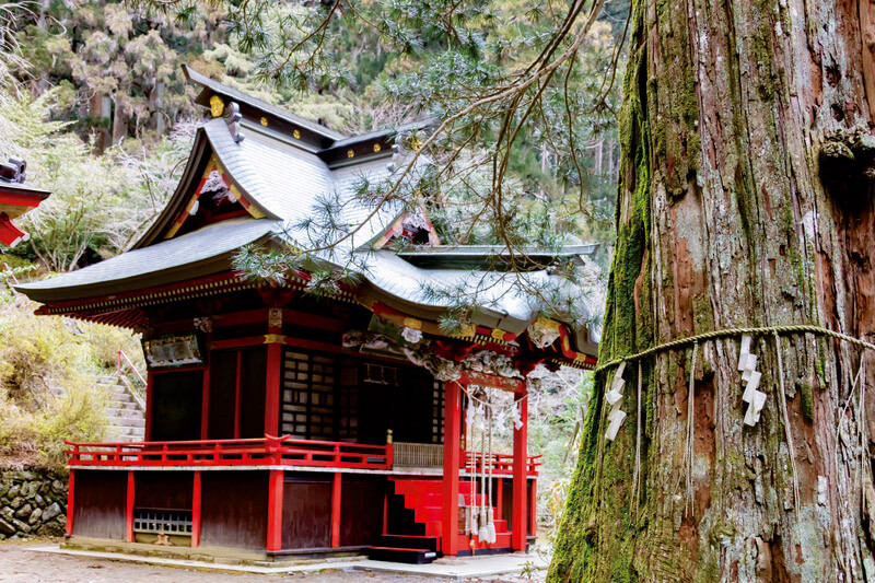 花園神社 天狗慎