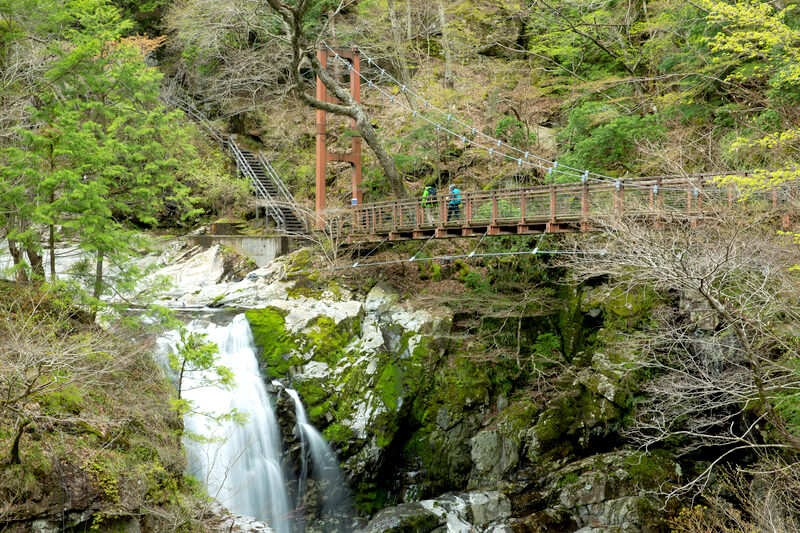 奈良県 みたらい渓谷 遊歩道