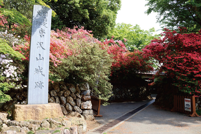 唐沢山 佐野