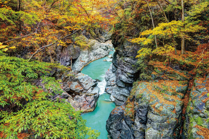 紅葉の吾妻峡 八丁暗がり