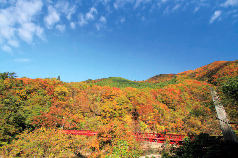 紅葉の抱返り渓谷