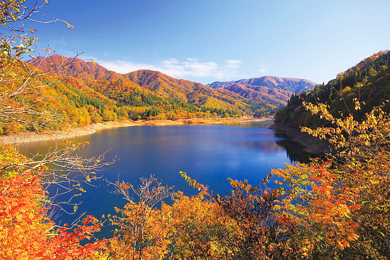 九頭竜湖 紅葉