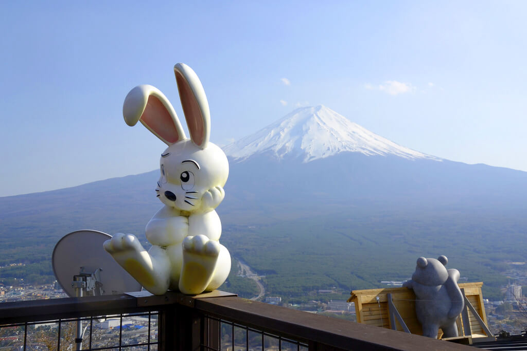 河口湖天上山公園 うさぎ