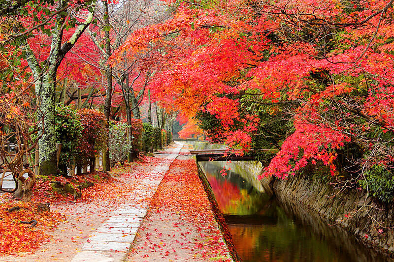 哲学の道 紅葉