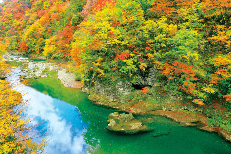 抱返り渓谷の紅葉
