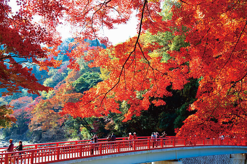紅葉の香嵐渓