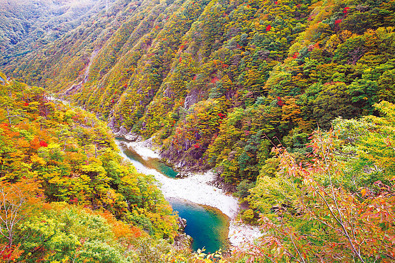 紅葉に染まる錦秋湖 当楽第2橋より