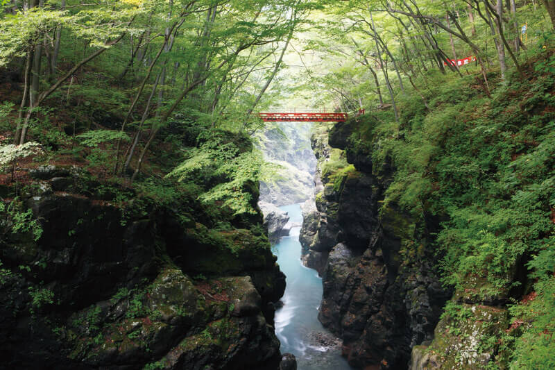 吾妻峡 吾妻渓谷 鹿飛橋 2013