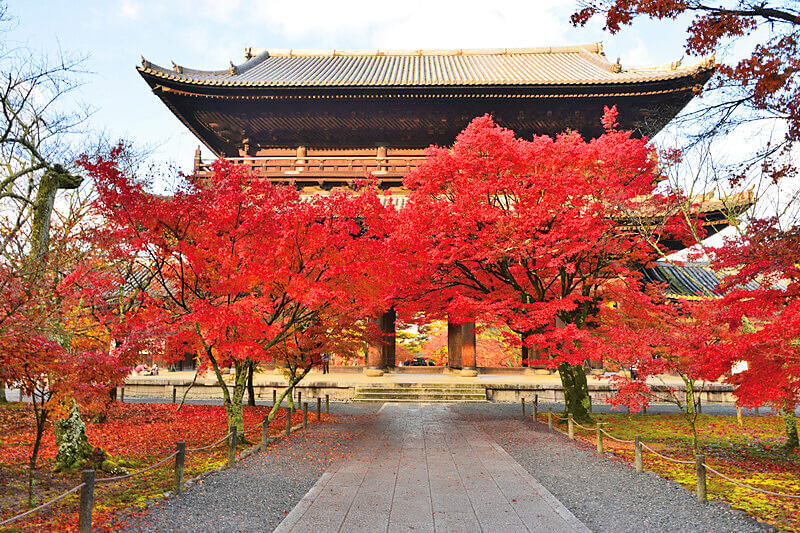紅葉の南禅寺 山門