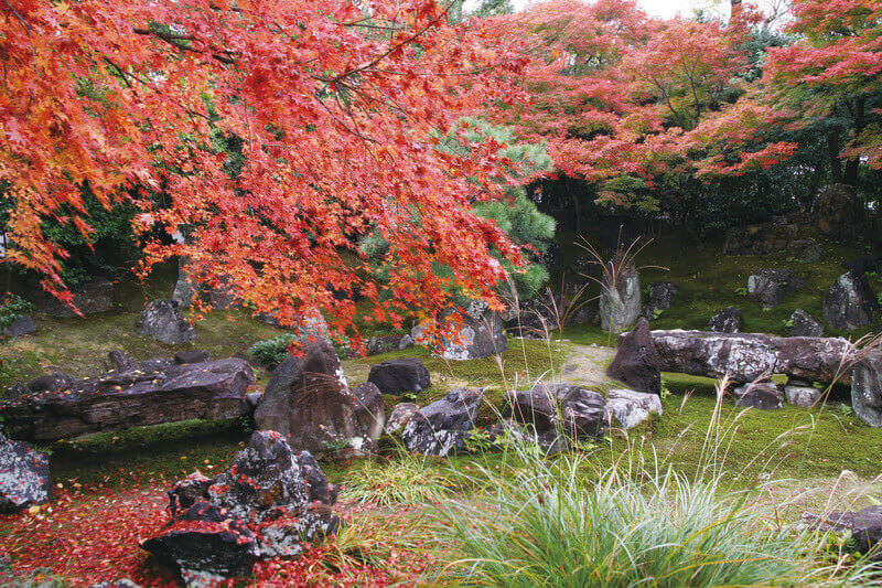 高台寺圓徳院 北庭