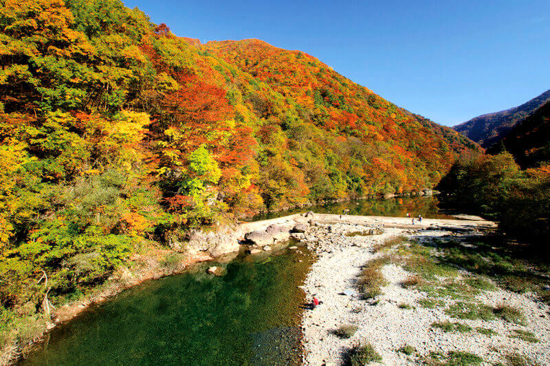 紅葉の抱返り渓谷