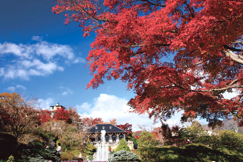 秋の強羅公園