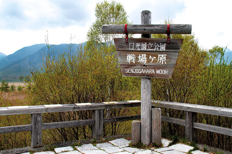 戦場ヶ原 展望台