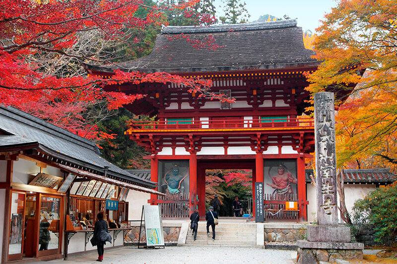 室生寺 紅葉の仁王門