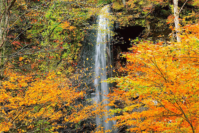 白糸の滝