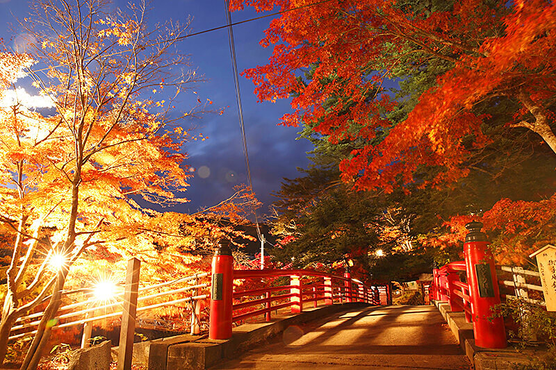 中野もみじ山 橋の絶景