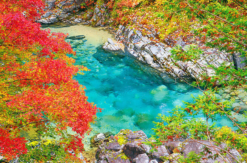 阿寺渓谷と紅葉