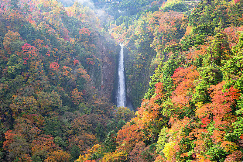震動の滝