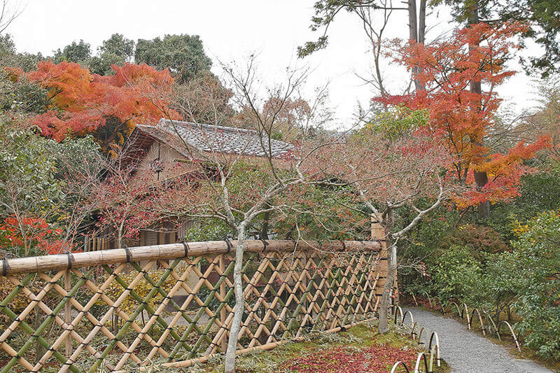 京都 光悦寺 光悦垣