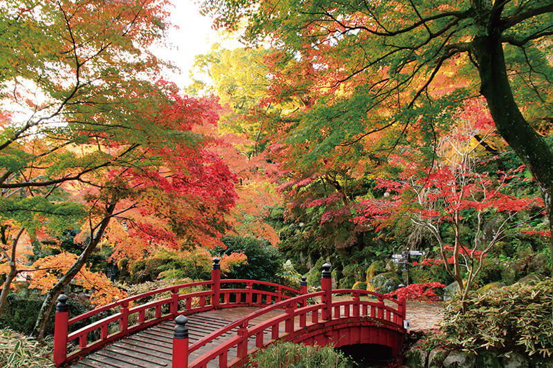 熱海梅園 紅葉
