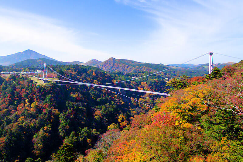 九重夢大吊橋