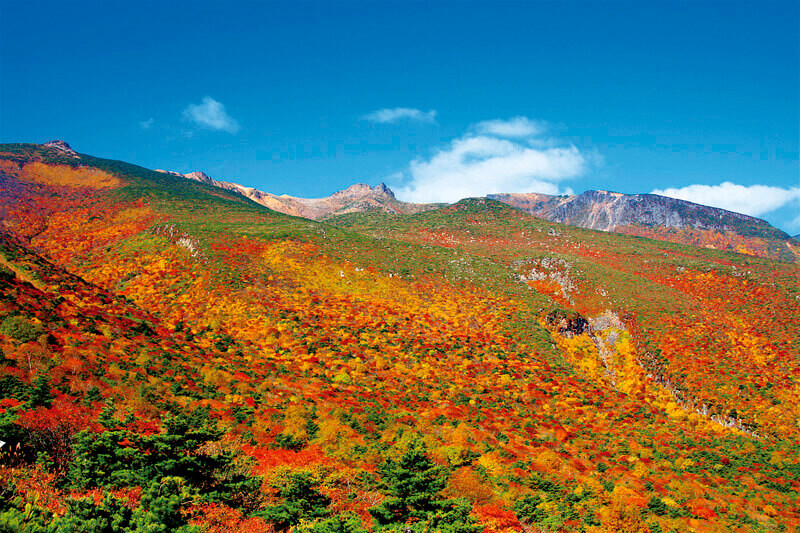 安達太良山 紅葉