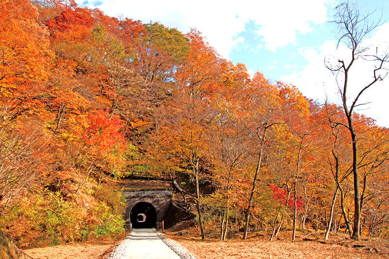 アプトの道 紅葉
