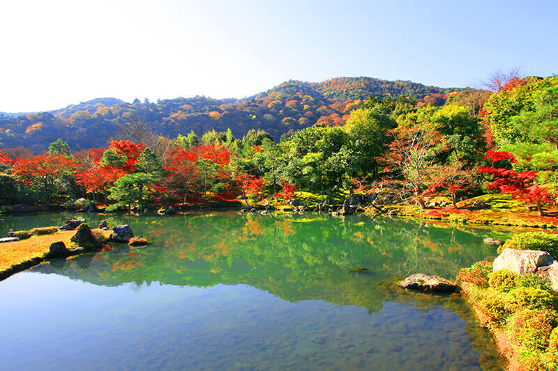 京都 天龍寺の紅葉