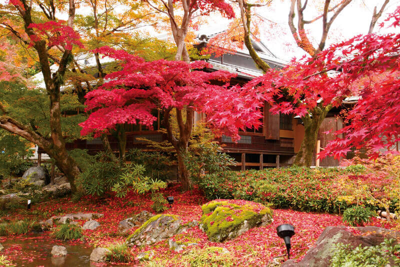 宝厳院 紅葉