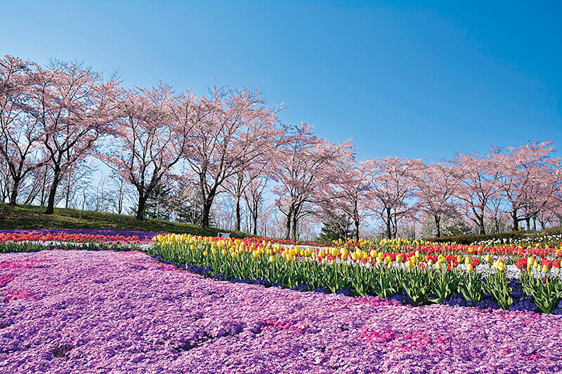国営みちのく杜の湖畔公園