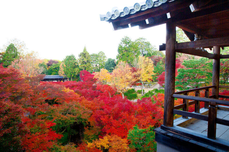 東福寺
