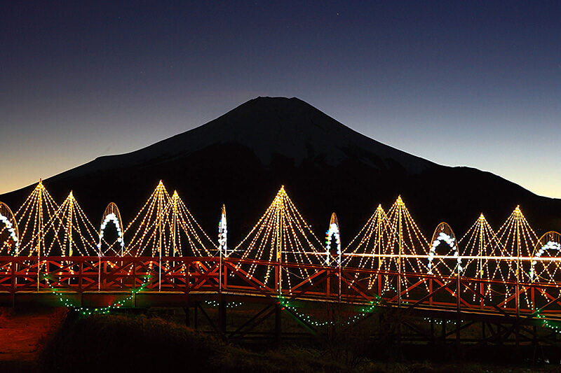 花の都公園のイルミネーション 富士山 山中湖 2008年