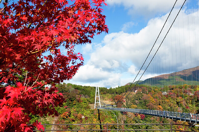 紅葉と大吊橋