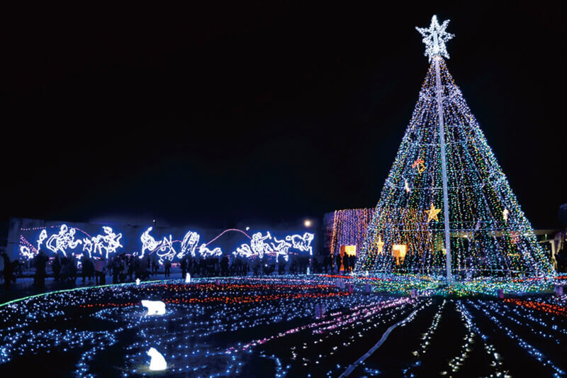 国営讃岐まんのう公園 クリスマスイルミネーション