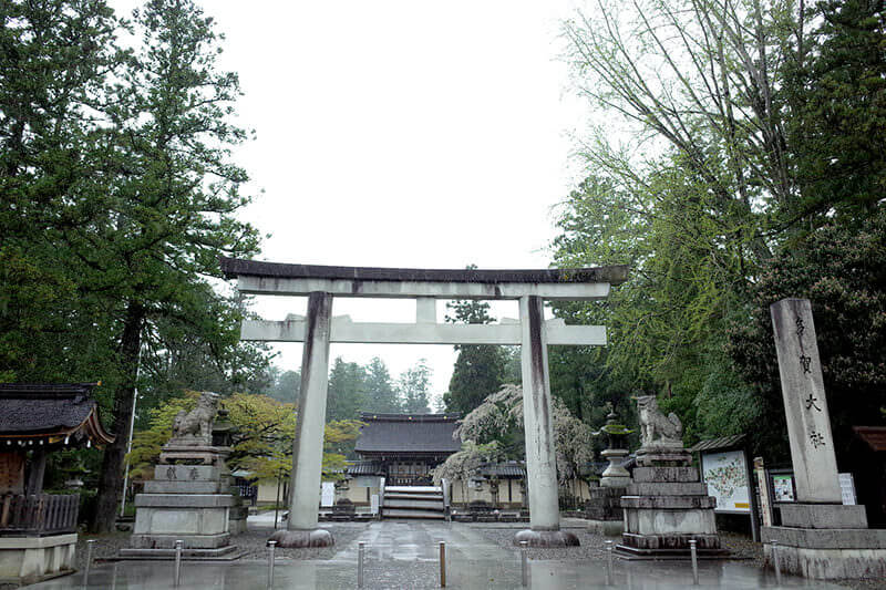 多賀大社 鳥居