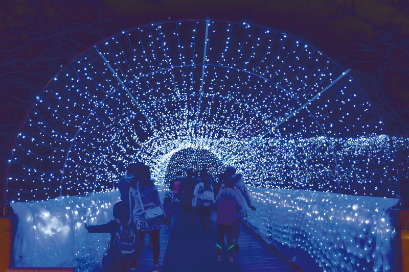 国営アルプスあづみの公園 イルミネーション