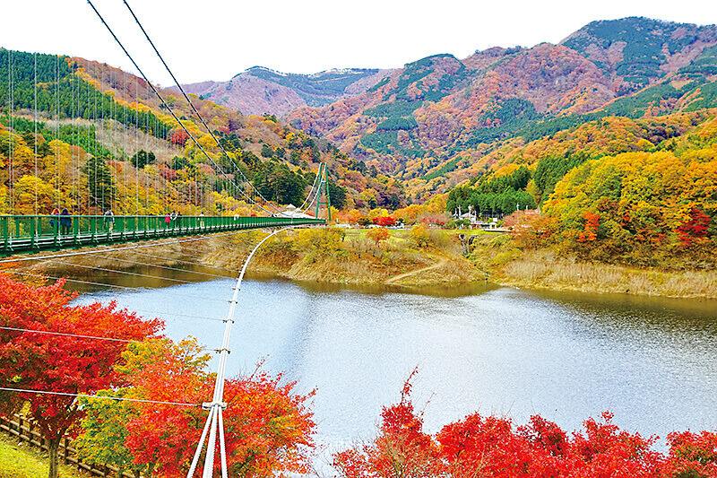 みじ谷大吊橋 紅葉 2015/11