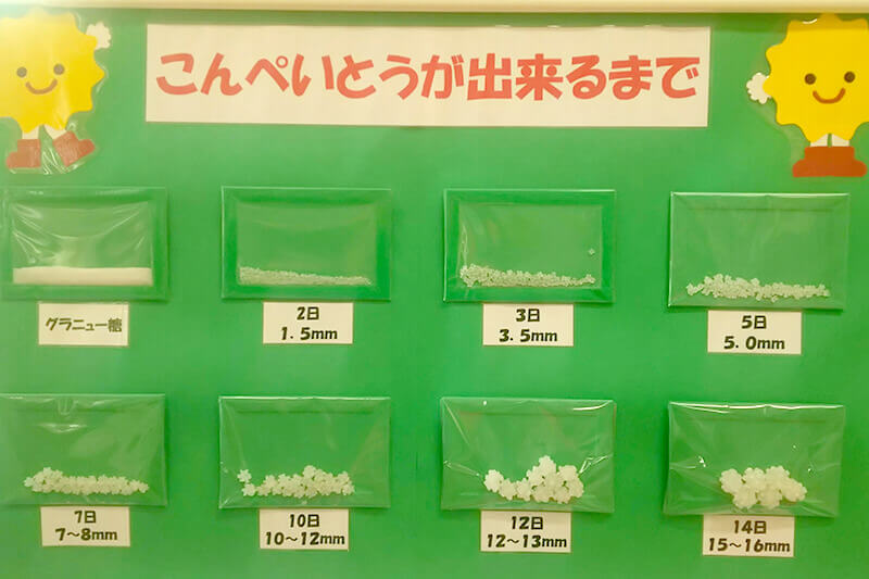 コンペイトウ王国 金平糖ができるまでパネル