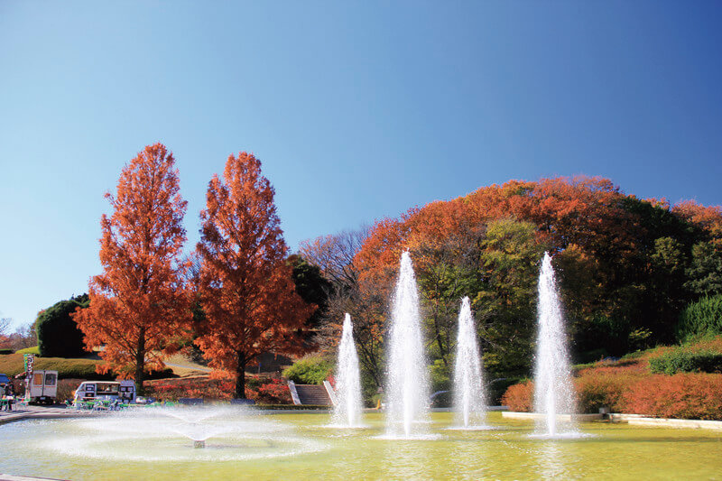 国営武蔵丘陵森林公園 噴水と紅葉