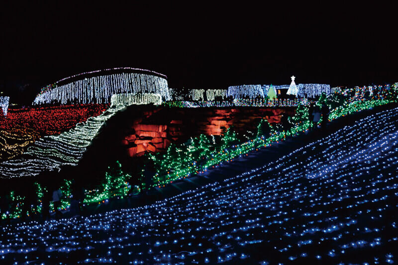 国営讃岐まんのう公園 グランドイルミネーション