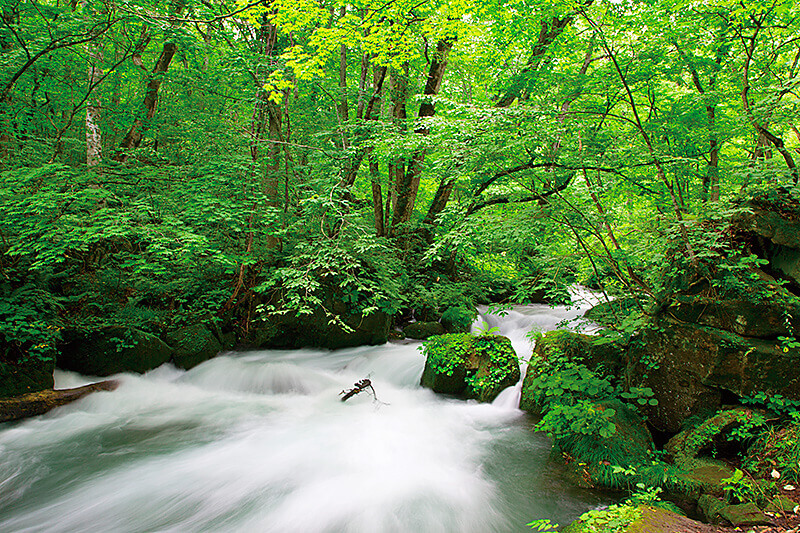 「奥入瀬渓流」が本当に綺麗…インスタ映えする青森県の絶景観光スポットはここ♪