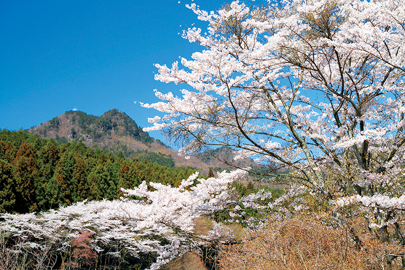 宇都宮市森林公園